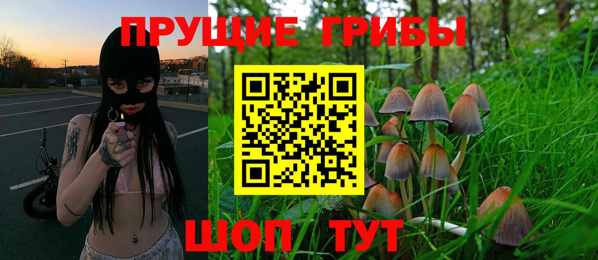 Галлюциногенные грибы мицелий Мирный