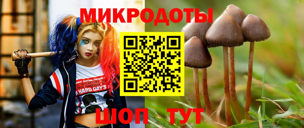 Галлюциногенные грибы Psilocybe  Вход с VPN  Мирный 